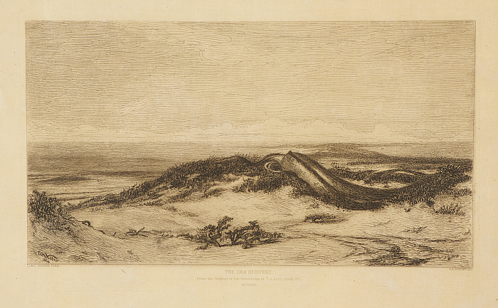 The Sea Serpent Slider Image 2